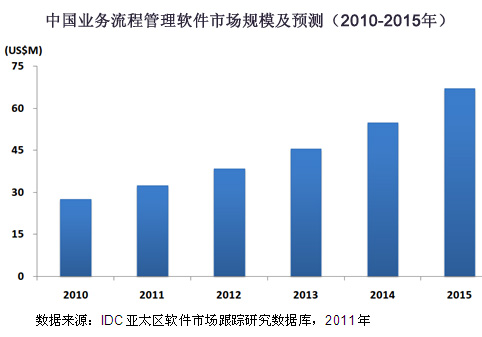 2010年中国BPM软件市场