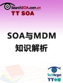 SOA与MDM知识解析