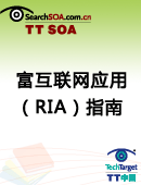 富互联网应用（RIA）指南