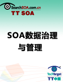 SOA数据治理与管理指南