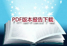 PDF版本报告下载